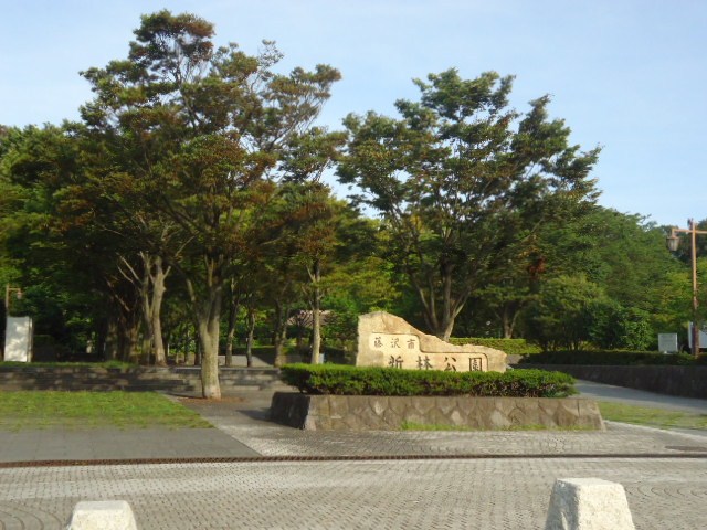 公園　新林公園（公園）まで1474m