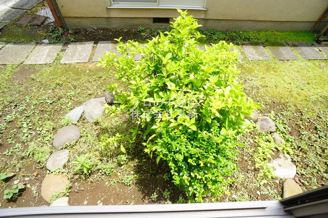 眺望　お部屋前には緑があるので、心癒されますね☆