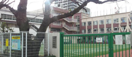 小学校　新宿区立市谷小学校（小学校）まで164m