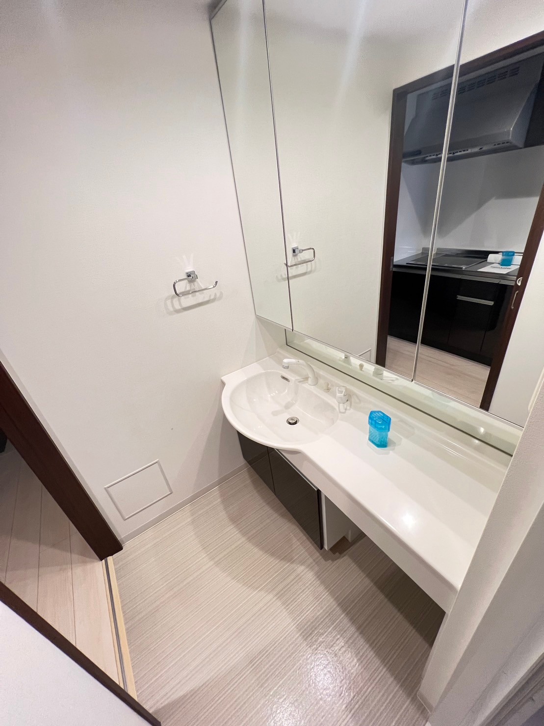 洗面設備　※他の部屋参考写真