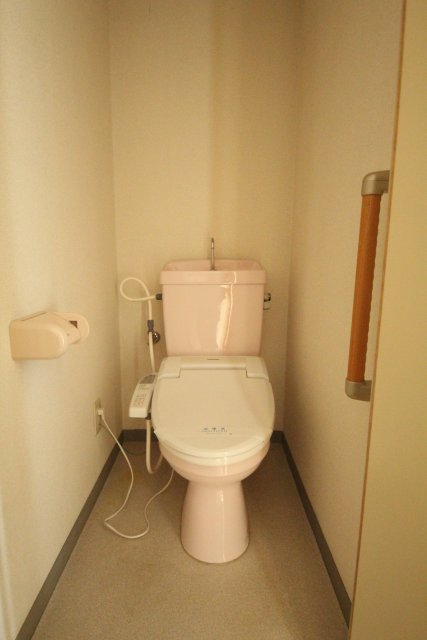 トイレ　※同建物・別号室の写真です