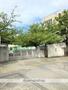 小学校　熊野小学校（小学校）まで217m