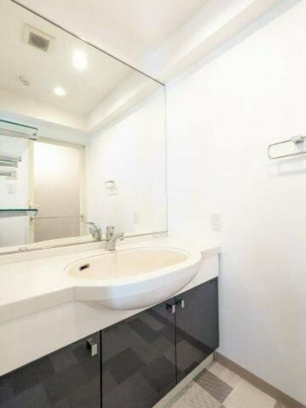 洗面設備　ベルジューレ高輪(別号室写真参照)