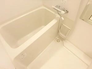 バス・シャワールーム　（別タイプ参考写真）スプルス板橋　板橋区板橋1