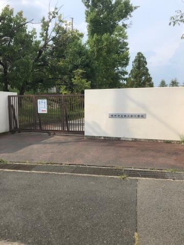 小学校　吹田市立桃山台小学校（小学校）まで252m