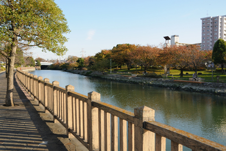 公園　新左近川親水公園（公園）まで635m