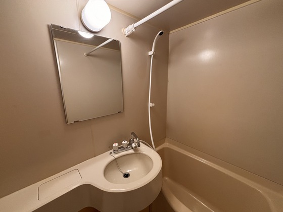 洗面設備　※別号室の写真です。