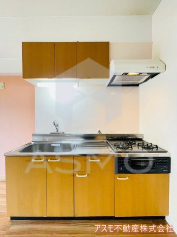 キッチン　同マンション別部屋　参考写真