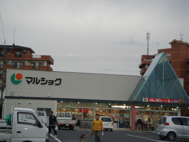 その他　マルショク（その他）まで480m