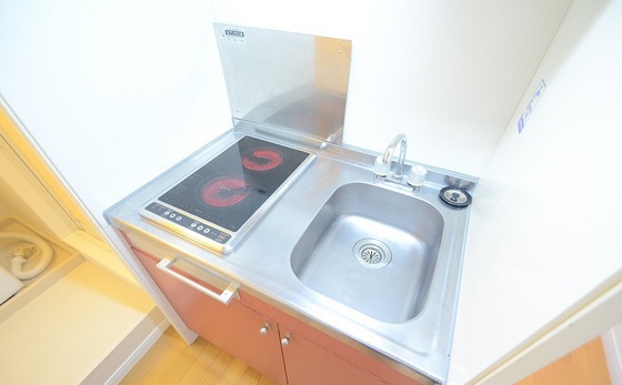 キッチン　※別号室の写真です