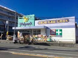 ドラックストア　ウェルパーク東武練馬店（ドラッグストア）まで580m