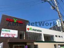 ショッピングセンター　アクロスプラザ坂戸（ショッピングセンター）まで1063m