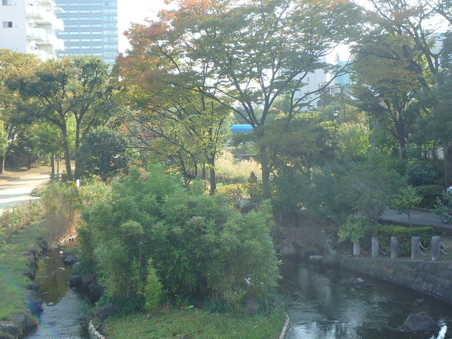 公園　大横川親水公園（公園）まで356m