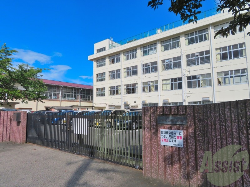 小学校　仙台市立鶴巻小学校（小学校）まで191m