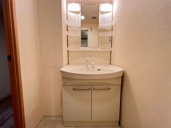 洗面設備　※別部屋の写真です