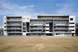 中学校　菊井中学校（中学校）まで1000m