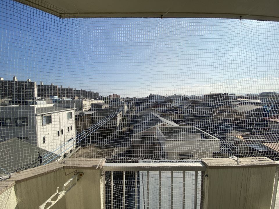 眺望　桜島が見えます