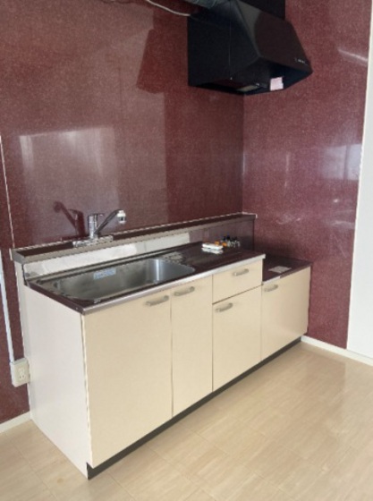 キッチン　※別号室の写真です