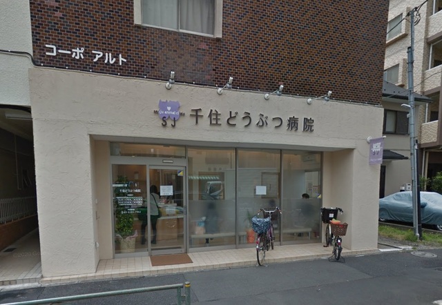 その他　千住どうぶつ病院（その他）まで1551m