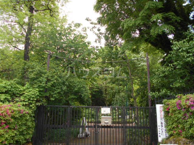 公園　赤塚植物園（公園）まで1239m