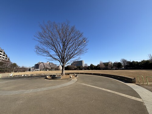 公園　杉並区立桃井原っぱ公園（公園）まで230m