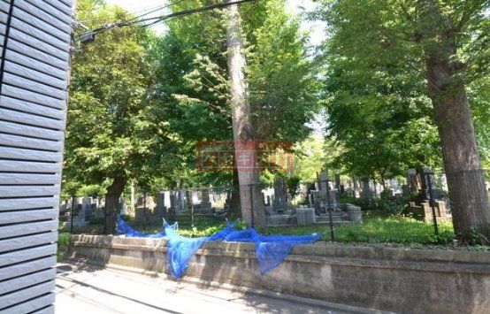 眺望　エントランス