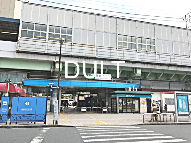 その他　亀有（その他）まで4021m