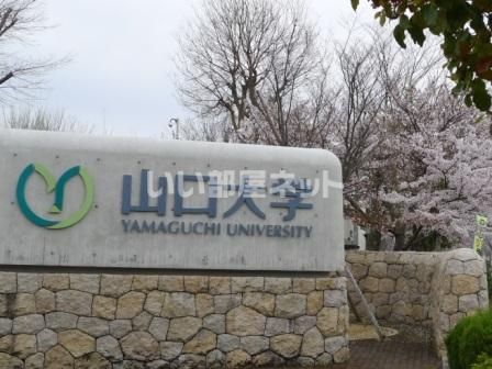 大学・短大　国立山口大学（大学・短大）まで1395m