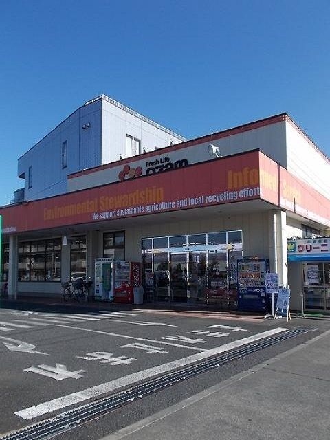 スーパー　オザム友田店（スーパー）まで1100m