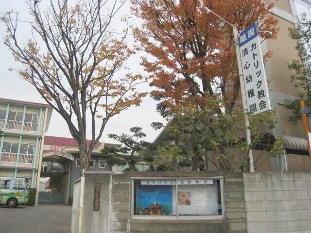 幼稚園・保育園　清心幼稚園（幼稚園・保育園）まで536m