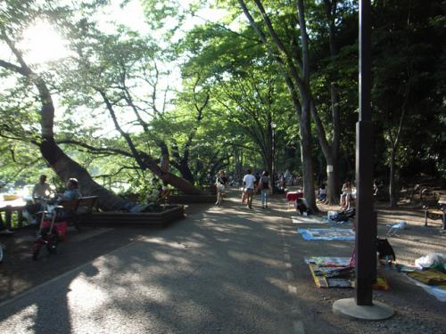 公園　井の頭公園（公園）まで672m