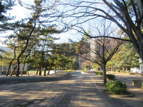公園　真砂第２公園（公園）まで335m