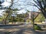 公園　真砂第２公園（公園）まで335m