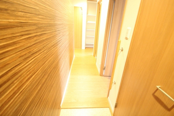 玄関　※別部屋の写真です