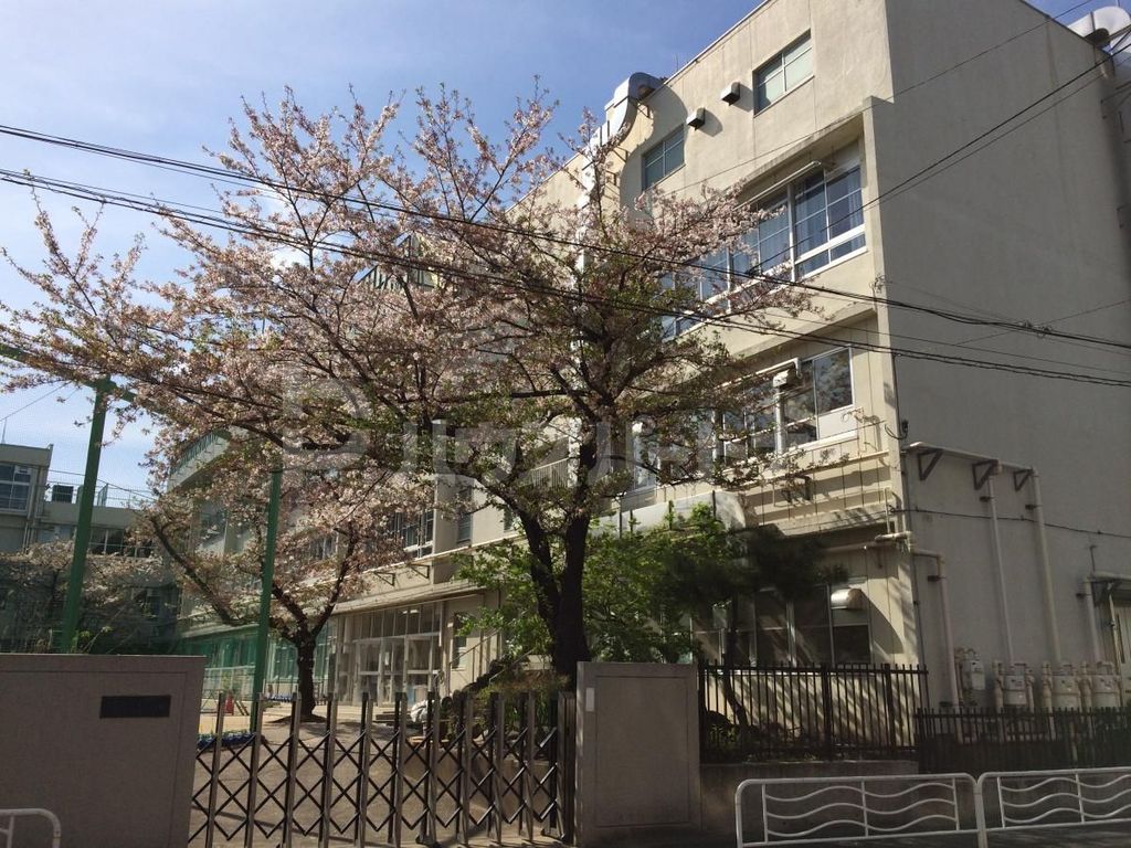 小学校　江東区立八名川小学校（小学校）まで560m