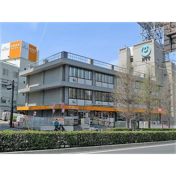 スーパー　アコレ成増１丁目店（スーパー）まで242m