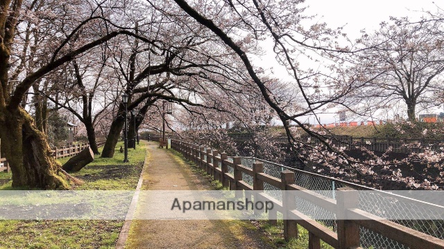 その他　桜並木（その他）まで100m