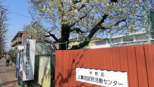 役所　中野区 上鷺宮区民活動センター（役所）まで330m