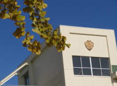 小学校　中野区立武蔵台小学校（小学校）まで317m