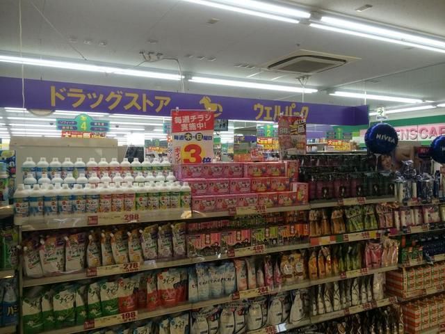 ドラックストア　ウェルパーク花小金井駅前店（ドラッグストア）まで513m