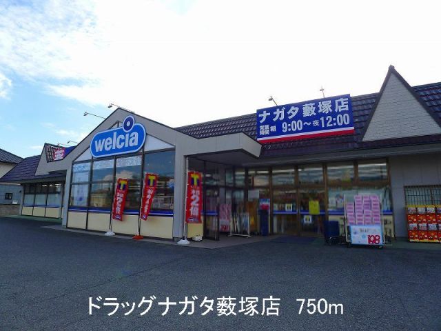 ドラックストア　ドラッグナガタ薮塚店（ドラッグストア）まで750m