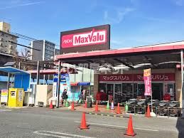スーパー　マックスバリュ千代田店（スーパー）まで351m