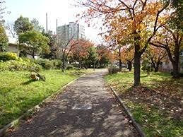 公園　新駅8号公園（公園）まで339m