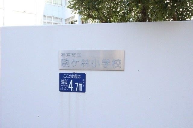 小学校　神戸市立駒ケ林小学校（小学校）まで587m