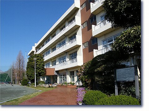 小学校　千葉市立仁戸名小学校（小学校）まで220m