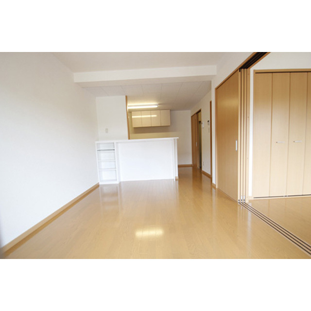 居室・リビング　（全て２０１にて撮影）