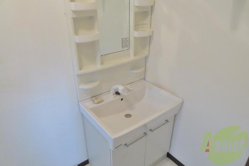 洗面設備　独立洗面はシャワーも付いて洗髪もできちゃいます。