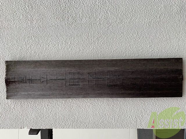 小学校　西宮市立上甲子園小学校（小学校）まで883m