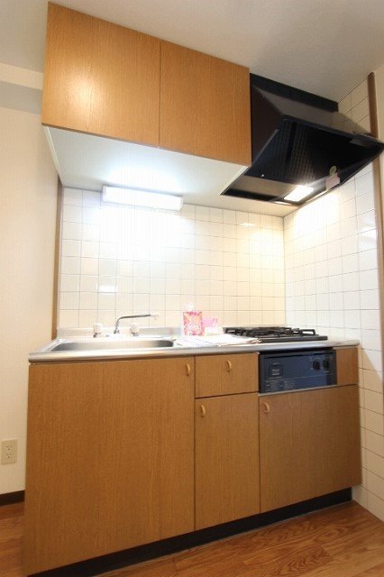 キッチン　同物件別号室のものです。
