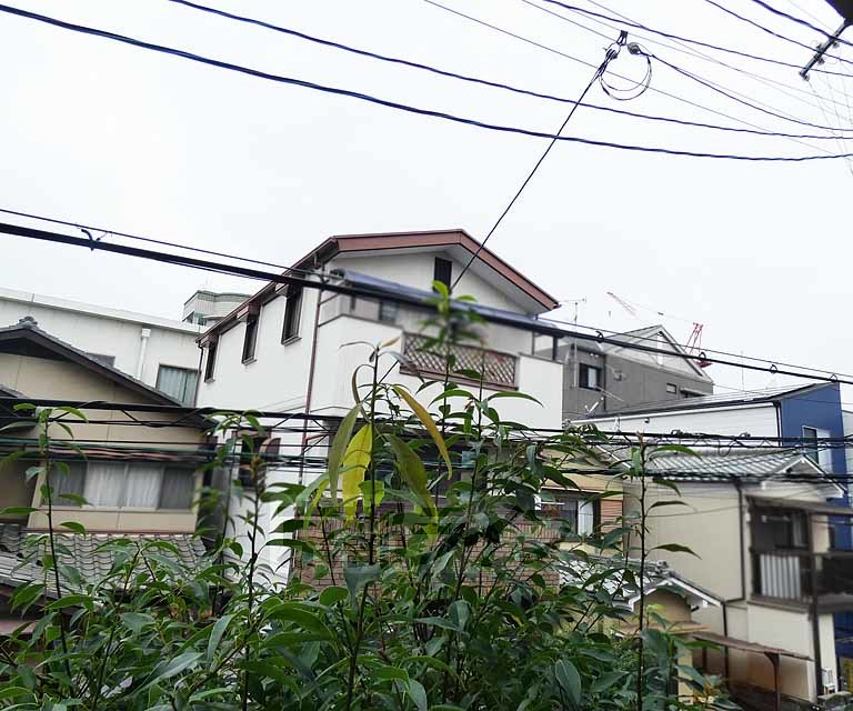 眺望　・２０２号室からの眺望です